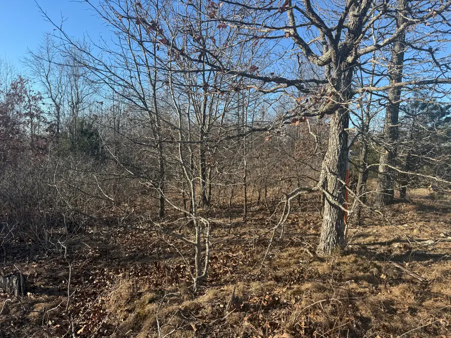 000 Highway U, Cabool, MO 65689 - Image #2