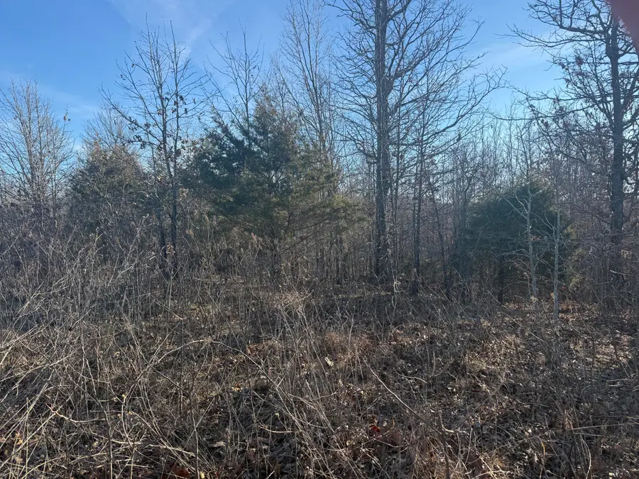 000 Highway U, Cabool, MO 65689 - Image #3