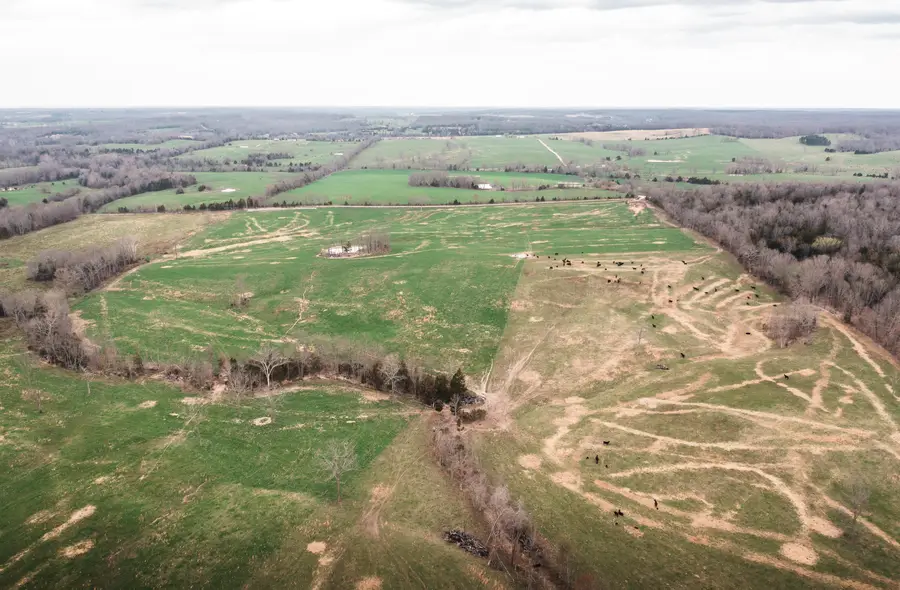 0 Kofhal Rd, Licking, MO 65542 - Image #2