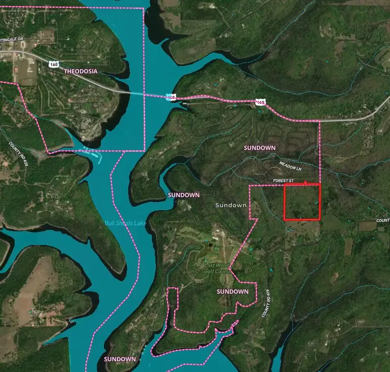 000 Forest Street, Theodosia, MO 65761 - Image #2