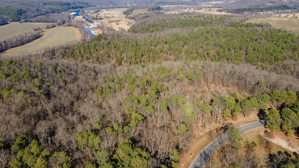 000 Highway H, Noel, MO 64854 - #1