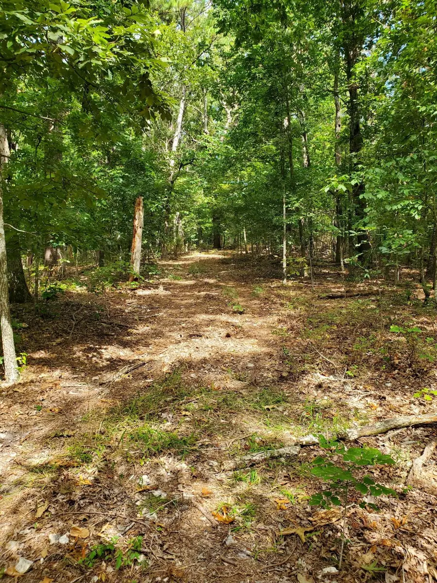 000 Highway H, Noel, MO 64854 - #3