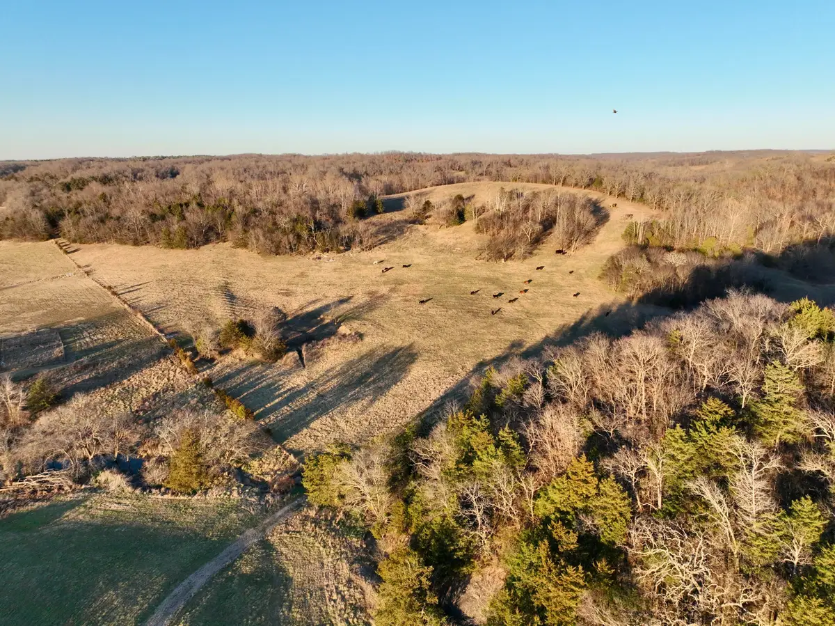 000 Hwy 59, Noel, MO 64854 - Image #1