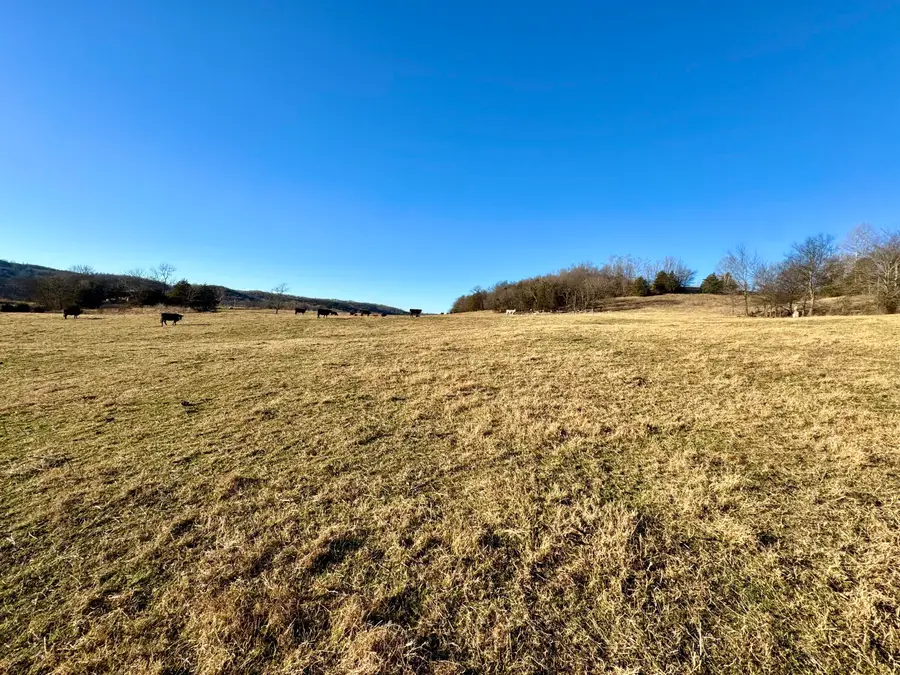 000 Hwy 59, Noel, MO 64854 - Image #3