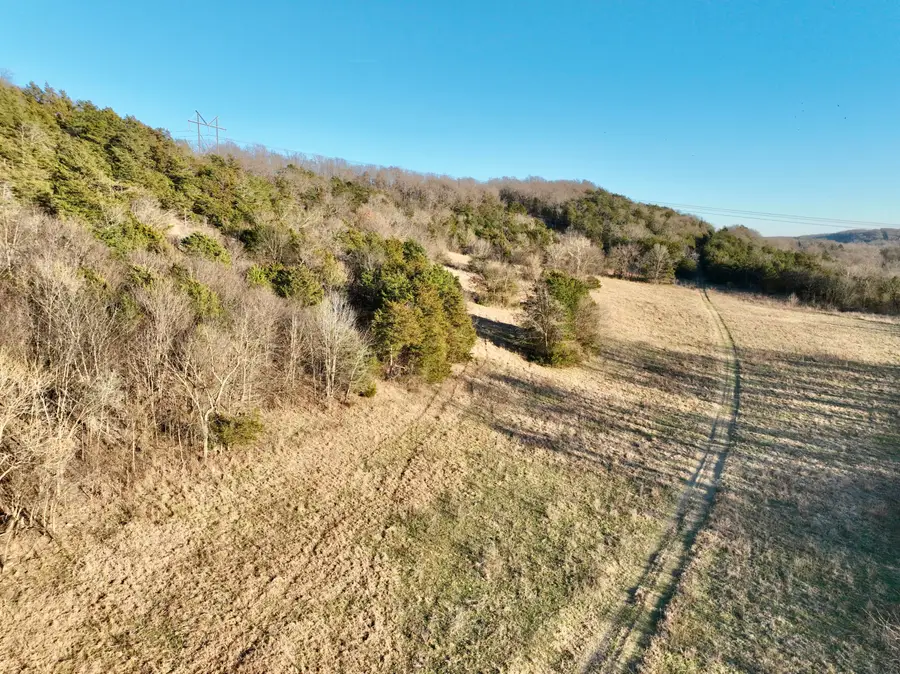 000 Hwy 59, Noel, MO 64854 - Image #3