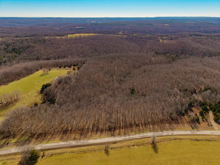 000 County Road 95-v #Lot A, Drury, MO 65638 - Image #2