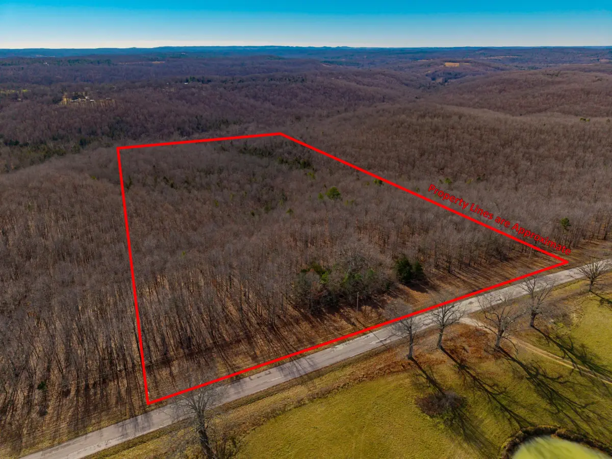 000 County Road 95-v #Lot C, Drury, MO 65638 - Image #1