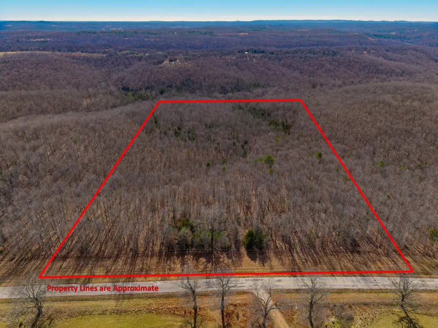 000 County Road 95-v #Lot C, Drury, MO 65638 - Image #3