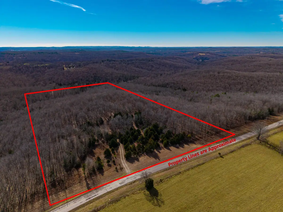 31616 County Road 95-v #(Lot B), Drury, MO 65638 - Image #1