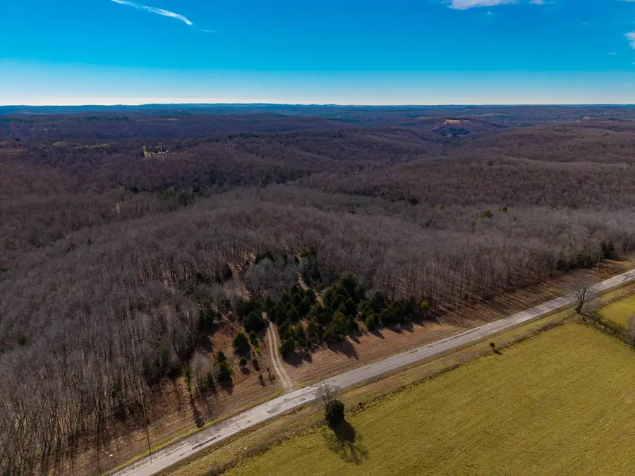 31616 County Road 95-v #(Lot B), Drury, MO 65638 - Image #2