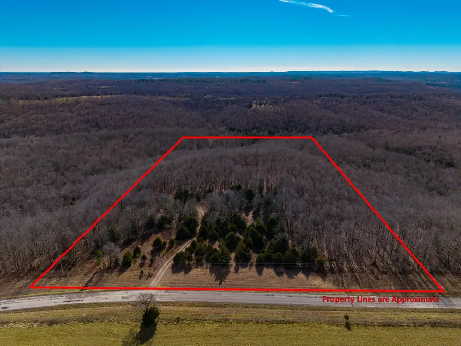 31616 County Road 95-v #(Lot B), Drury, MO 65638 - Image #3