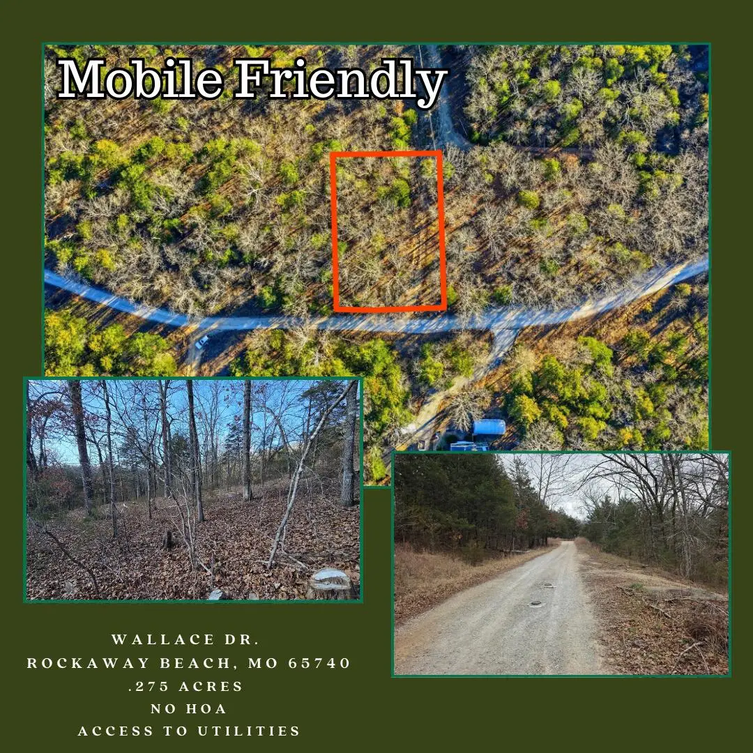 000 Wallace Drive, Rockaway Beach, MO 65740 - Image #1