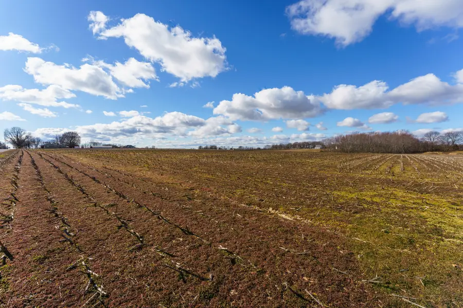 000 E Southernview Road, Ozark, MO 65721 - Image #3