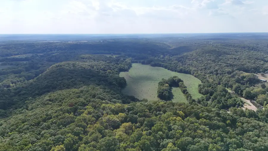 169 Freeman Bluff Trail, Lebanon, MO 65536 - Image #3