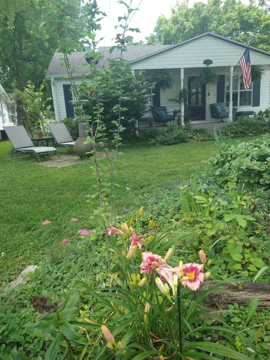 815 E Benton Avenue, Ava, MO 65608 - Image #3