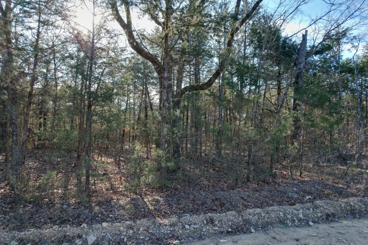 000 County Road 904, Theodosia, MO 65761 - Image #1