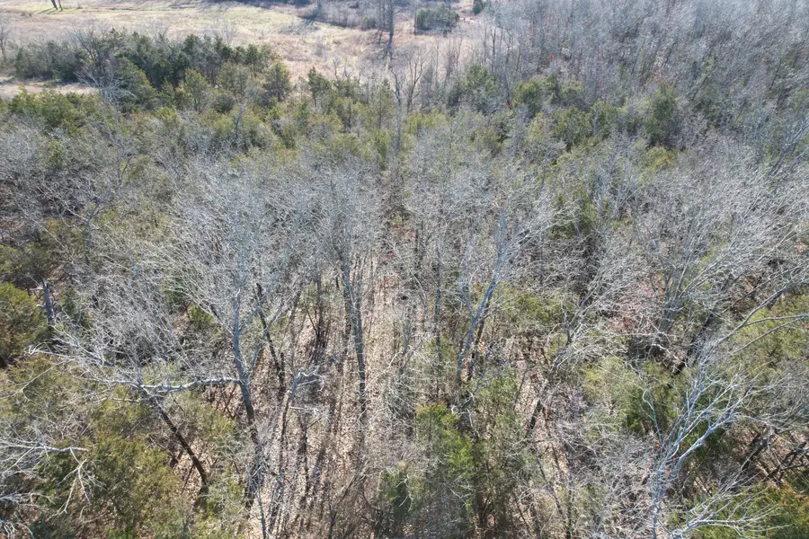 000 County Road 904, Theodosia, MO 65761 - Image #3