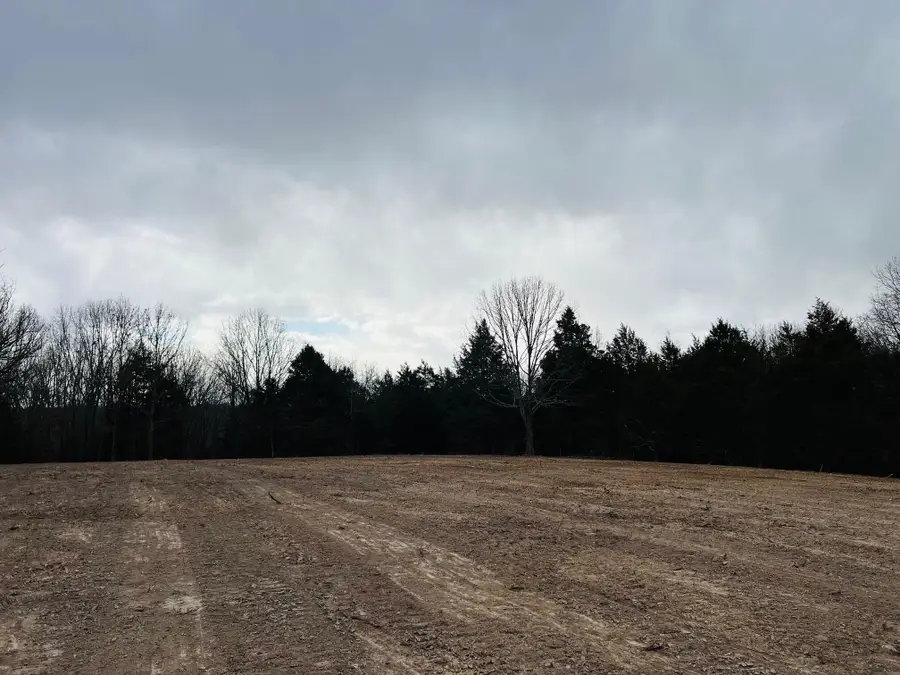 000 New Hope Road, Fordland, MO 65652 - Image #2