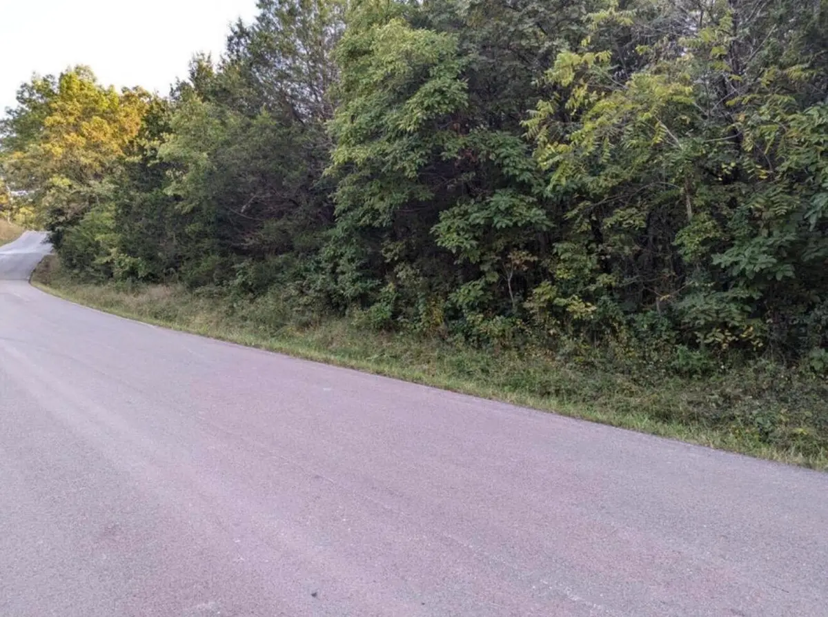 000 Grier Branch Road, Strafford, MO 65757 - Image #1