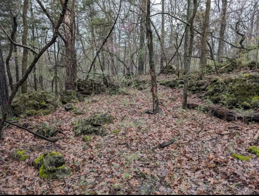 000 Grier Branch Road, Strafford, MO 65757 - Image #3