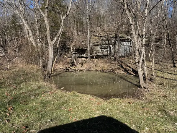 Xoxo Flag Springs Road, Powell, MO 65730