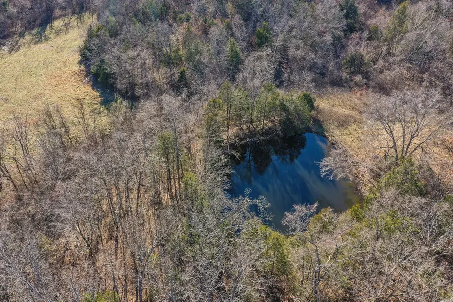 9068 County Road, Green Forest, AR 72638 - Image #2