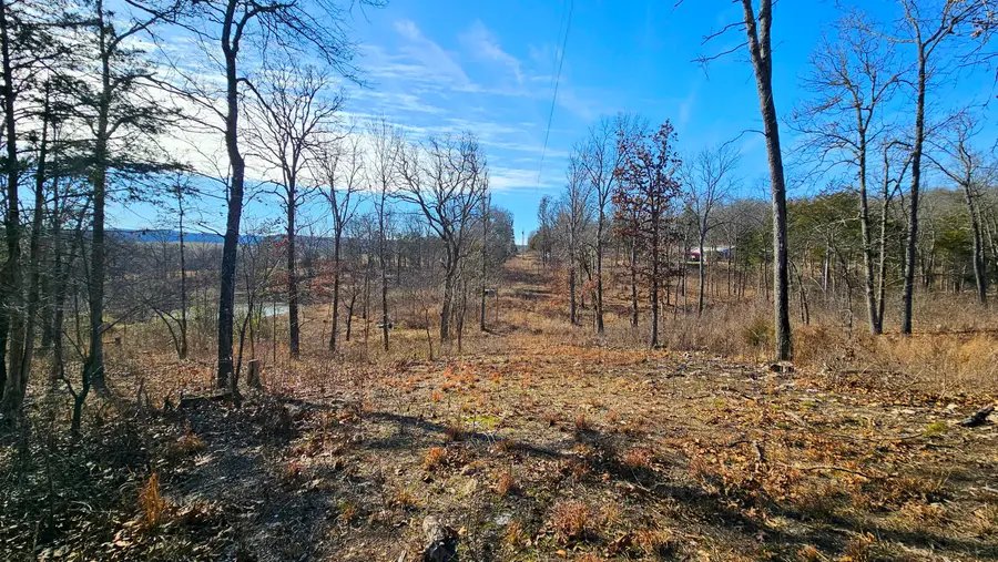 65 Gunslinger Drive, Brixey, MO 65618 - Image #3