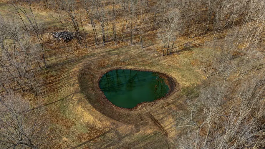 16743 Highway 97, Wentworth, MO 64873 - Image #3