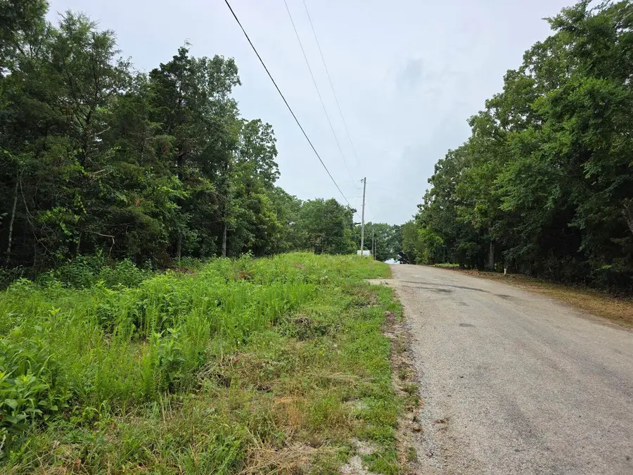 000 Saratoga/elm, Shell Knob, MO 65747 - Image #3