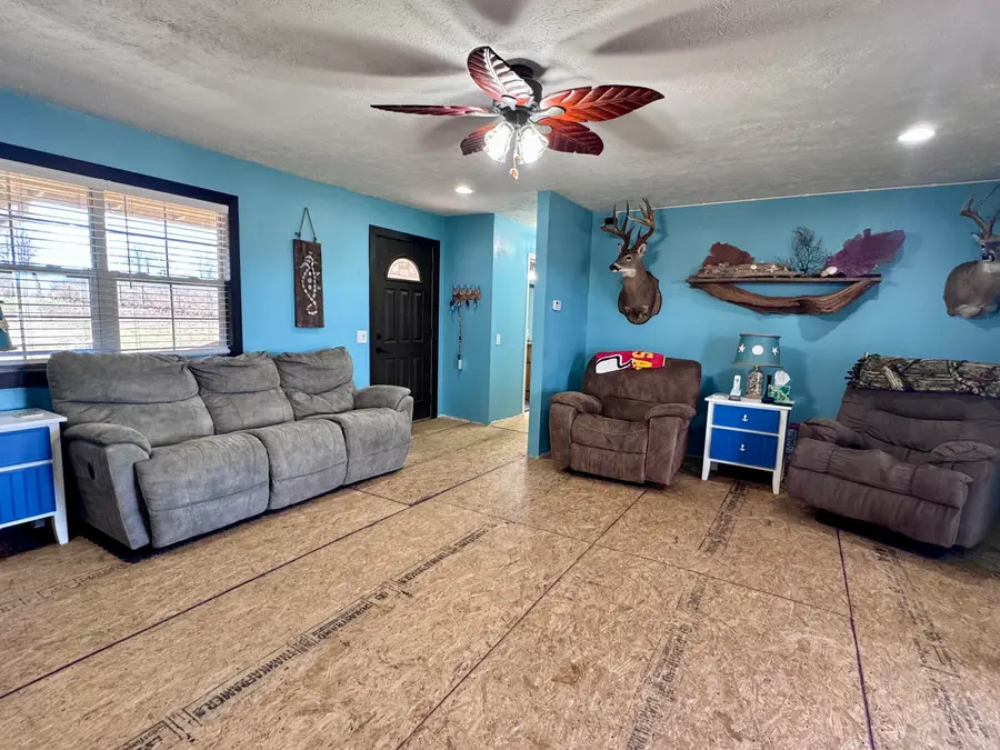 359 County Road 262, Myrtle, MO 65778 - #3