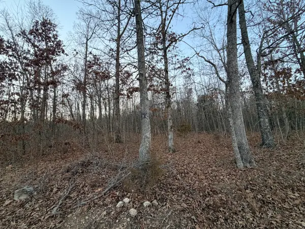000 County Road 204, Alton, MO 65606
