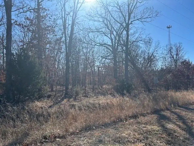 18 Ac Jenny Lane, Granby, MO 64844 - Image #2