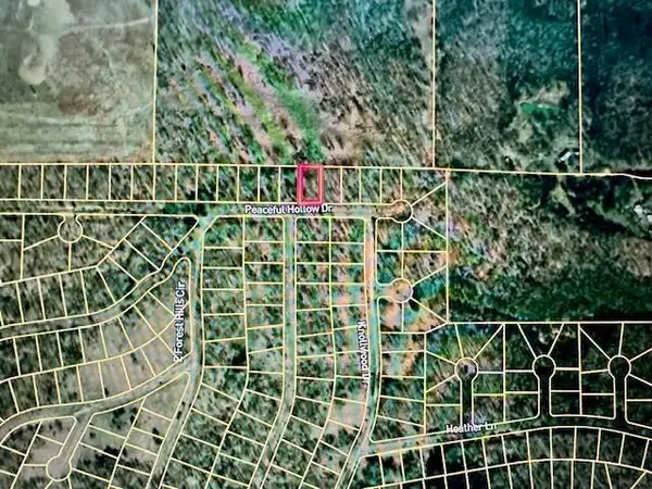 2414 Peaceful Hollow Drive, Horseshoe Bend, AR 72512