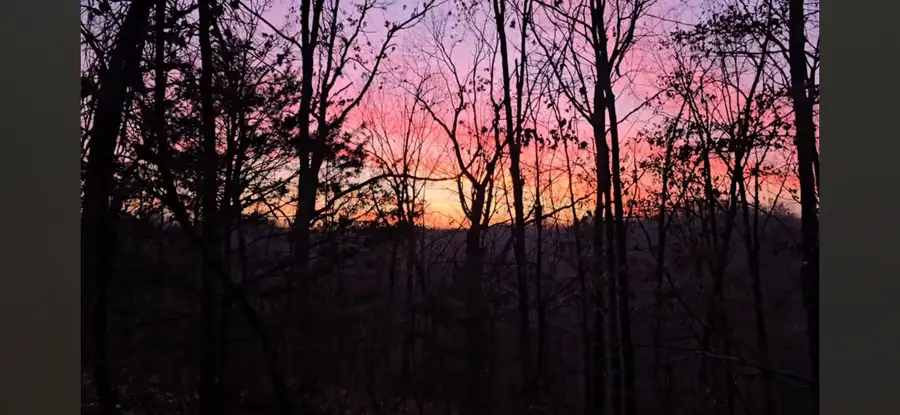 377 Apricot Lane, Reeds Spring, MO 65737 - Image #2