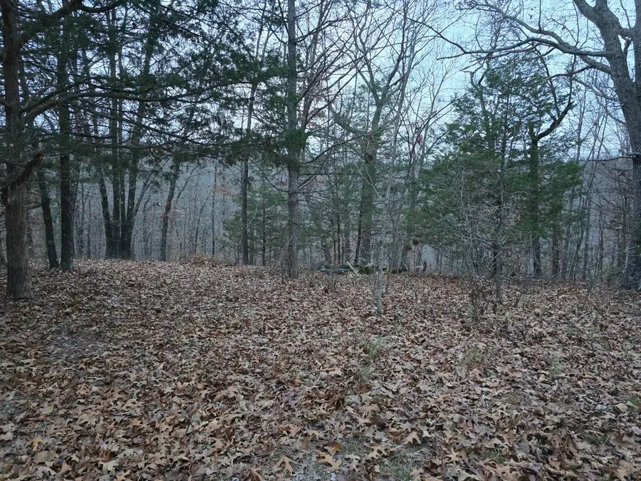 377 Apricot Lane, Reeds Spring, MO 65737 - Image #3