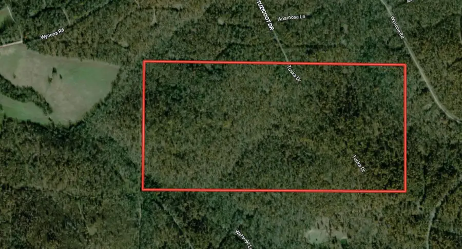 000 Tuska Drive, Ash Flat, AR 72513 - Image #2