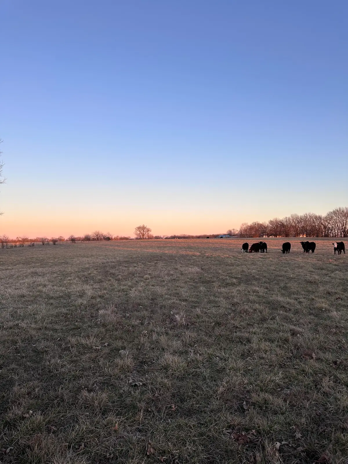 000 Civil War Road, Carthage, MO 64836 - Image #1