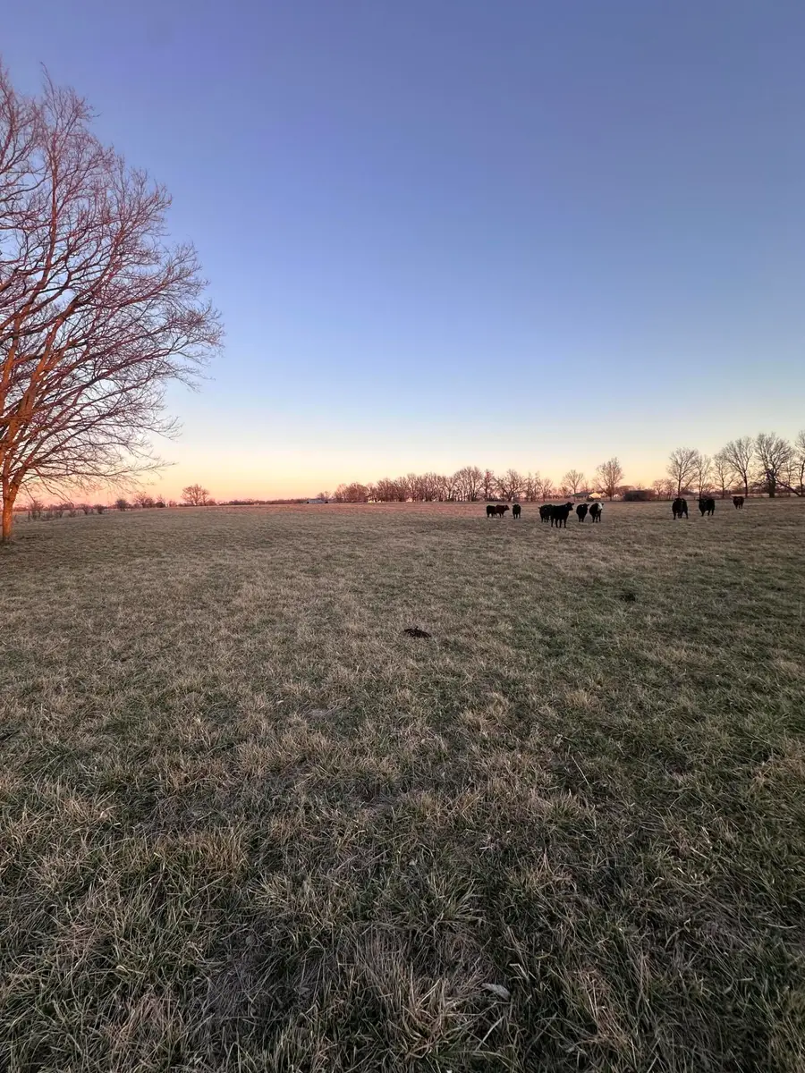 000 Civil War Road, Carthage, MO 64836 - Image #3