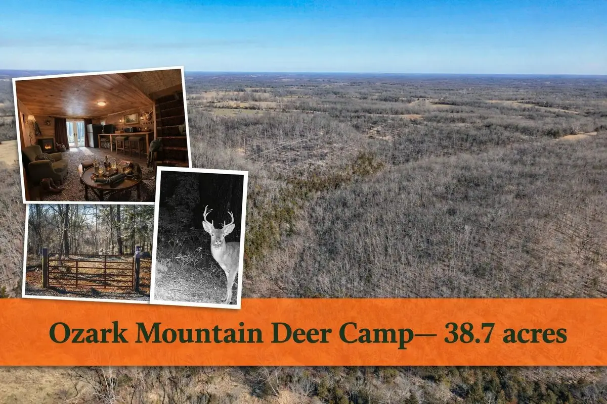 000 State Highway Pp, Galena, MO 65656 - Image #1