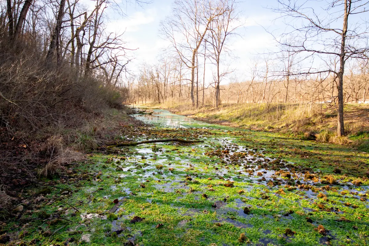 14655 Condor Drive #Tract 5, Seneca, MO 64865 - Image #1