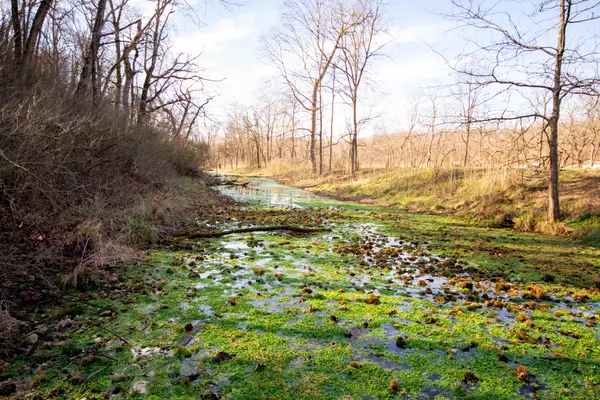 14655 Condor Drive #Tract 5, Seneca, MO 64865