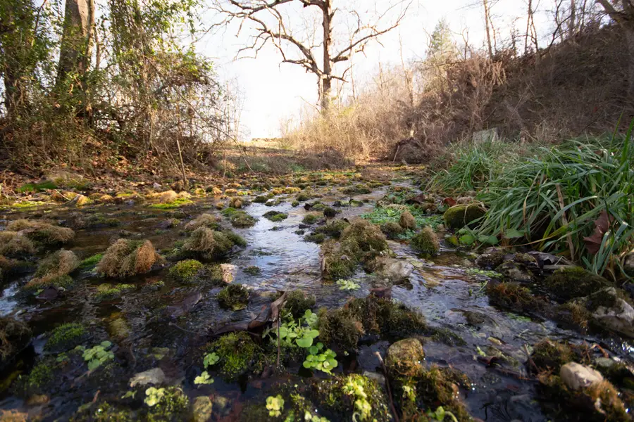 14655 Condor Drive #Tract 5, Seneca, MO 64865 - Image #2