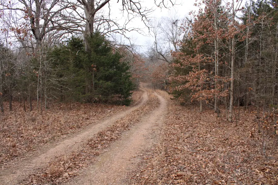 Tbt 000 NE 175 Road, Osceola, MO 64776 - Image #3