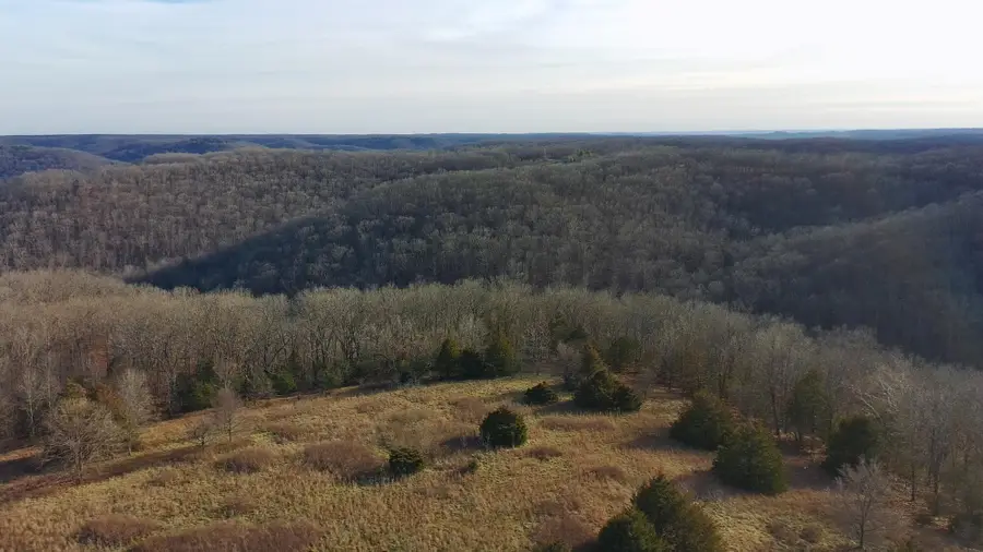 406 Red Bridge Rd, Ozark, MO 65721 - Image #3