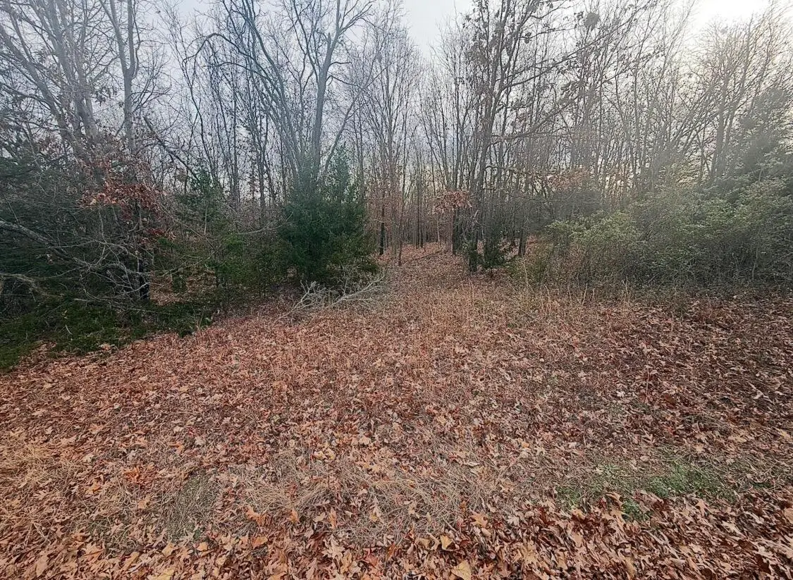 000 Loma Linda Drive, Loma Linda, MO 64804 - Image #1