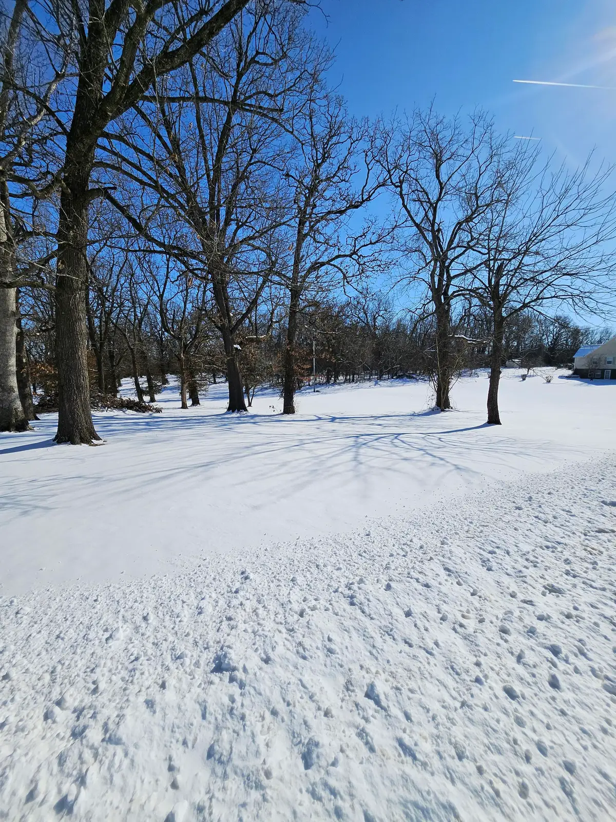 000 Redbud Place, Monett, MO 65708 - Image #1