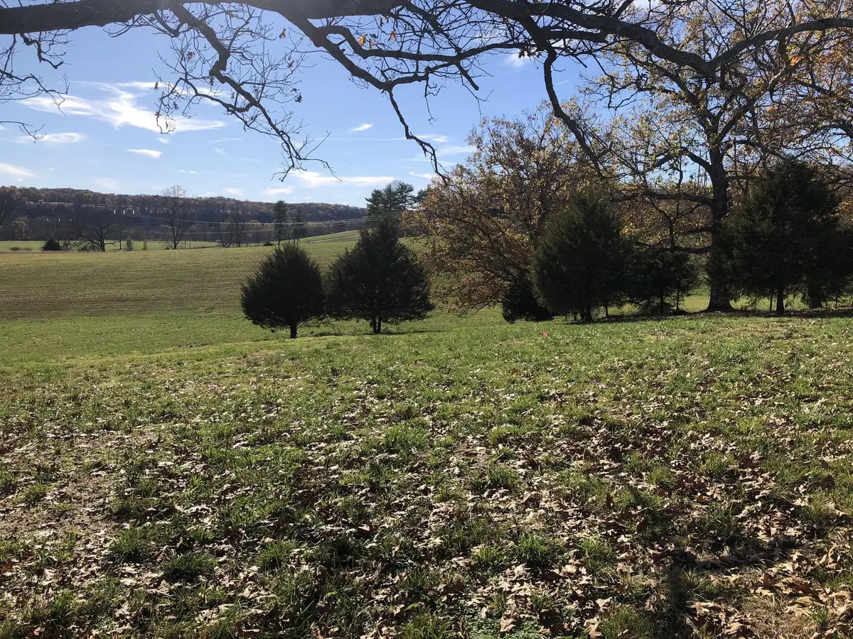 Lot #2 Lone Star Drive, Nixa, MO 65714 - Image #1