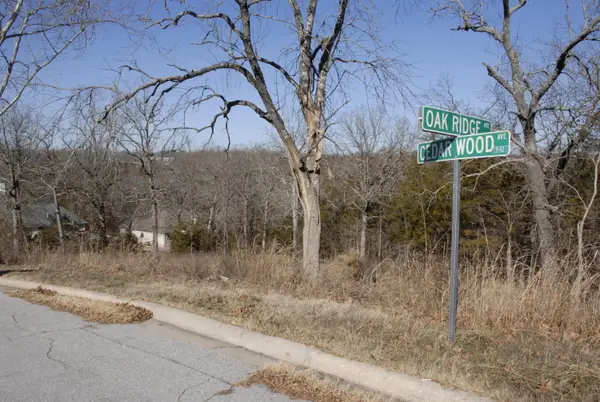 Lot 23 Cedar Wood Avenue, Branson, MO 65616