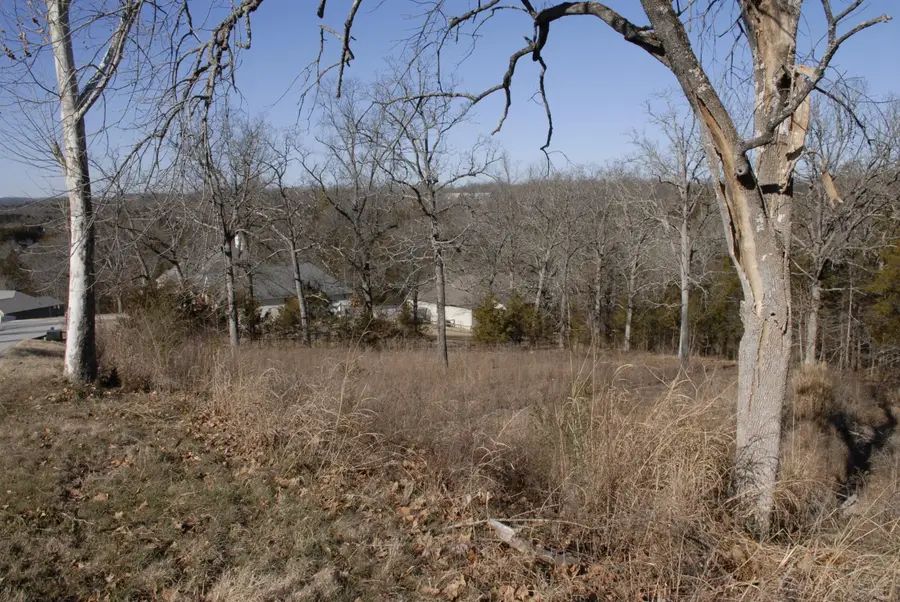 Lot 23 Cedar Wood Avenue, Branson, MO 65616 - Image #2