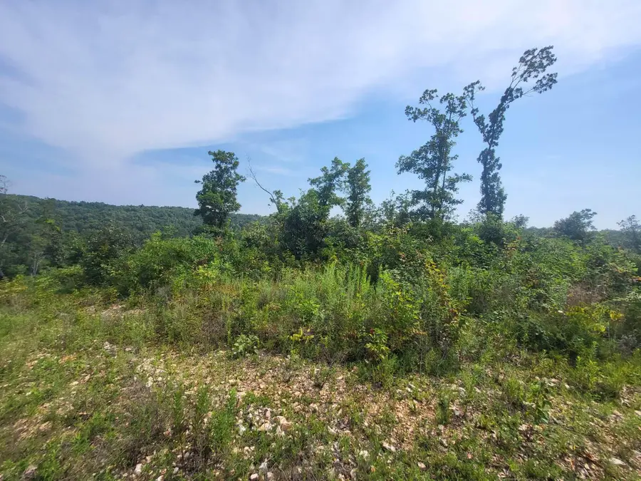 0 Tract # 60 Cedar Gap Hh, Seymour, MO 65746 - Image #3